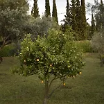 Hébergement de vacances House - με μεγάλο κήπο