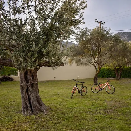 House - με μεγάλο κήπο بيت للعطل