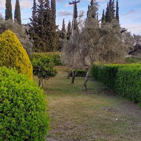 House - με μεγάλο κήπο بيت للعطل Nerotriviá