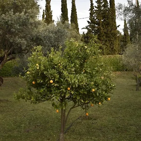 Holiday home House - με μεγάλο κήπο